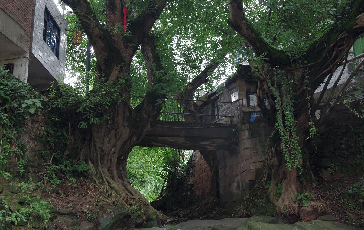 src=http___img1.qunarzz.com_travel_d7_1807_63_55e4ae4f3c44ffb5.gif&amp;refer=http_.jpg