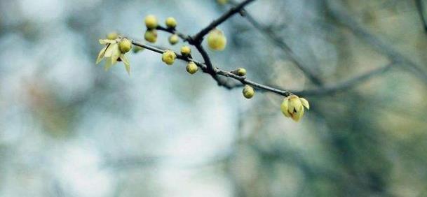 180011t1h14h06fu04td44.jpg