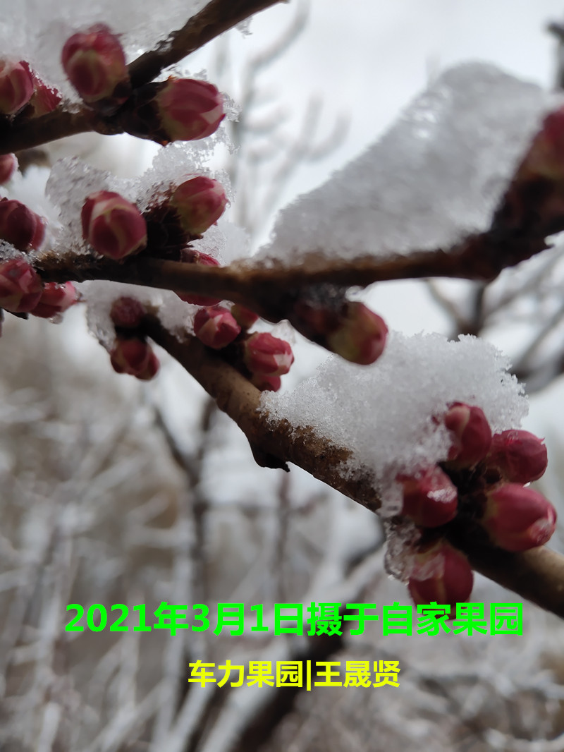 QQͼƬ20210413084351_����.jpg