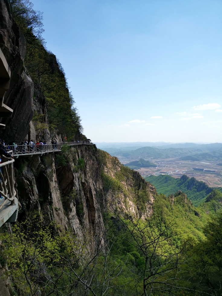 IMG_20210502_131055.jpg