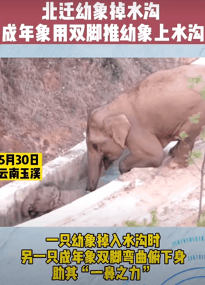 �ҿ������һ��֮����.gif