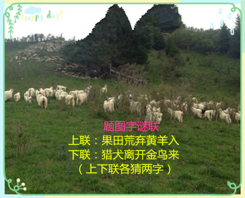 src=http___img3.doubanio.com_view_group_topic_l_public_p48851204.jpg&amp;refer=htt.jpg