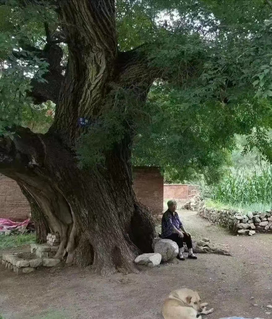 ��������.jpg