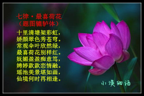 b571be305c617c53dfb39d04ca8dbed9_����.jpg