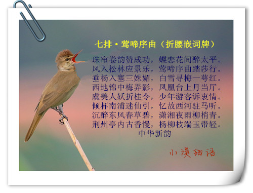 88364b7c83c40c084b29d21ee22176e8_����.jpg