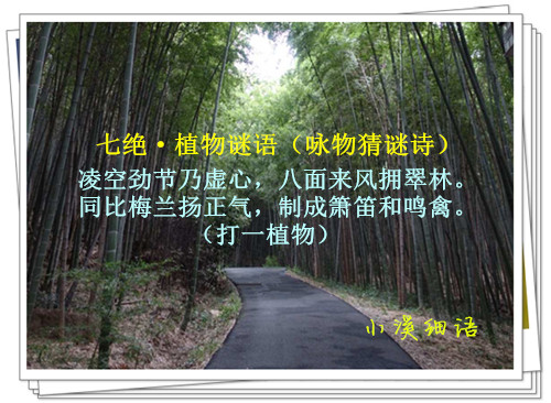 376b22610cea51757becc056480c9872_����.jpg