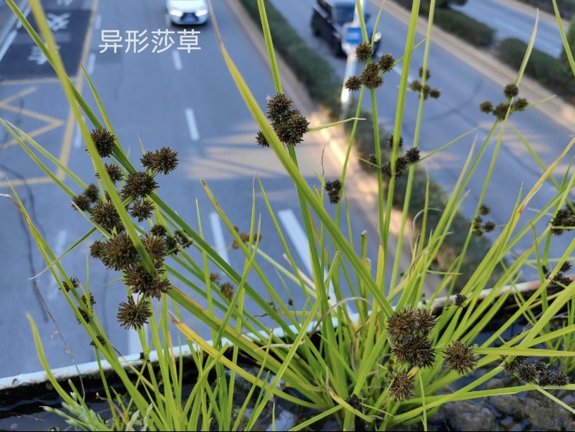 Screenshot_20240826_234127_com.tencent.mm_edit_1159223830731695.jpg