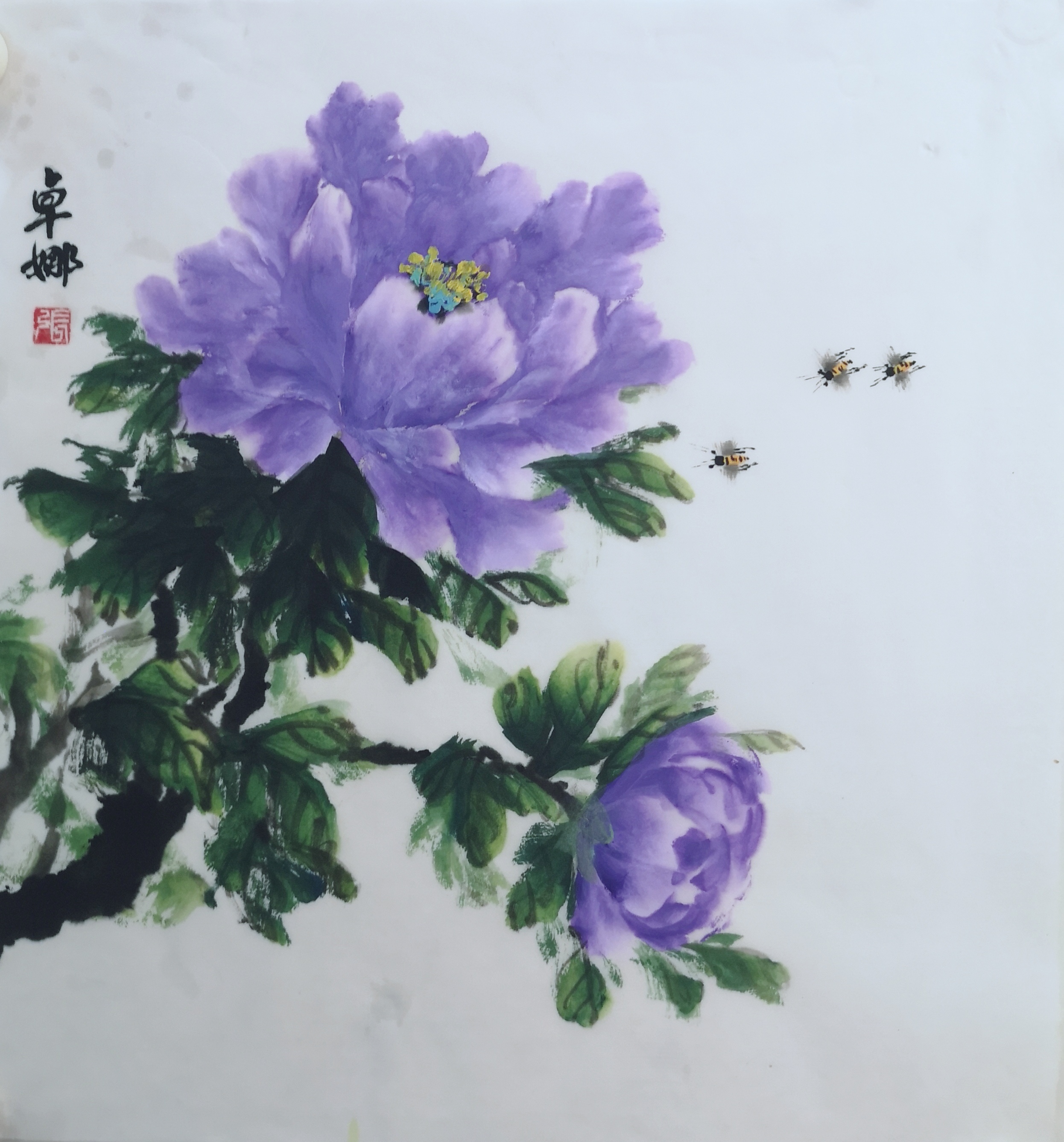 ��ţ�19