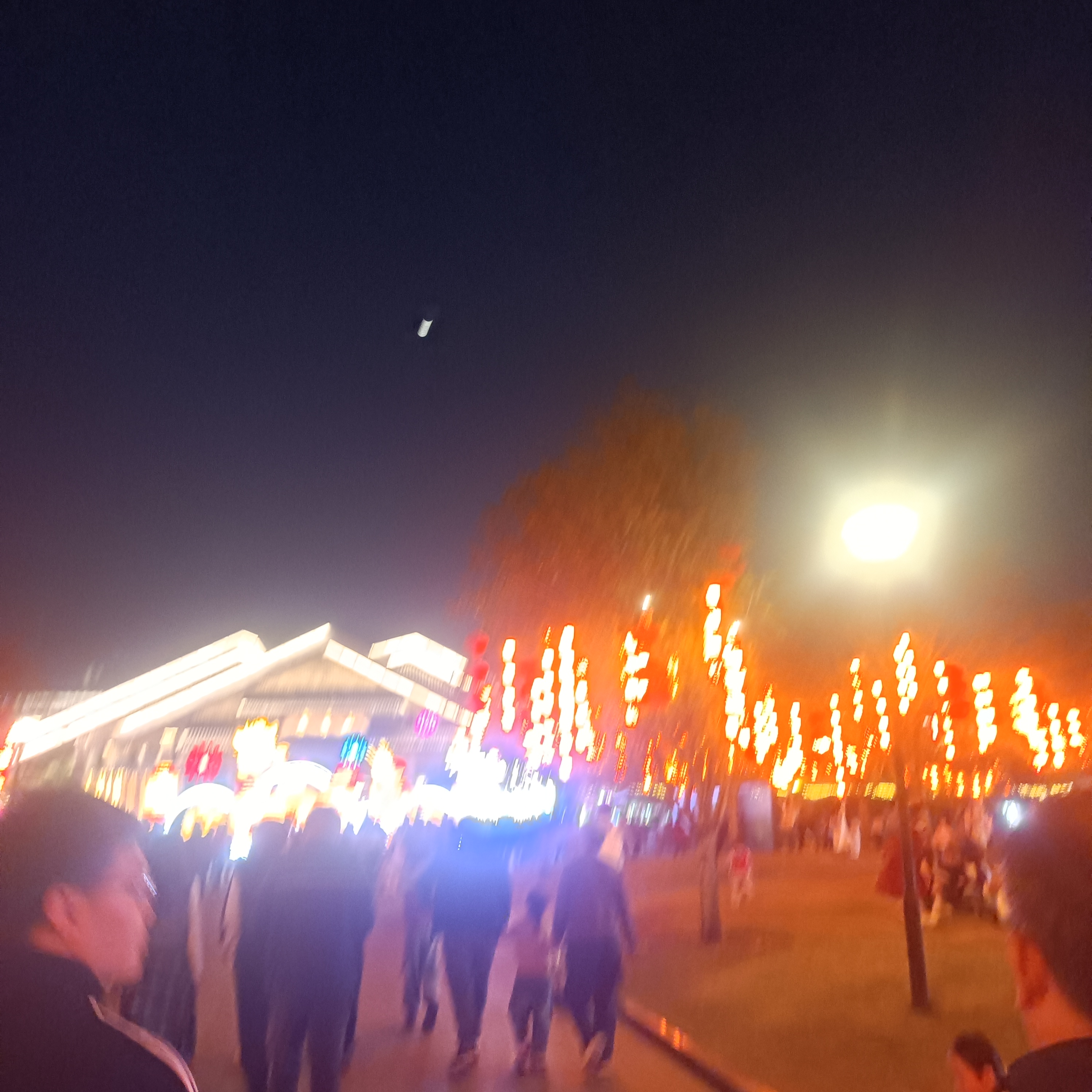 IMG_20260220_192604.jpg