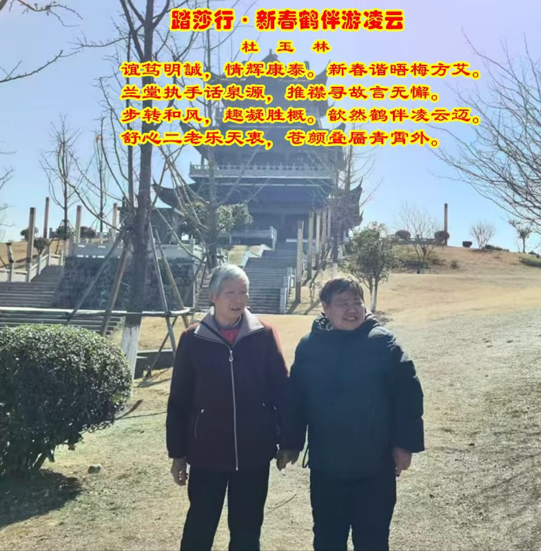 mmexport1771851095696.jpg