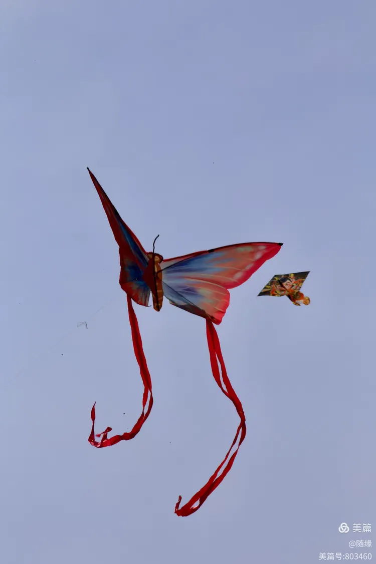 730ec8975c9e1ab0c198429e669c01e.png