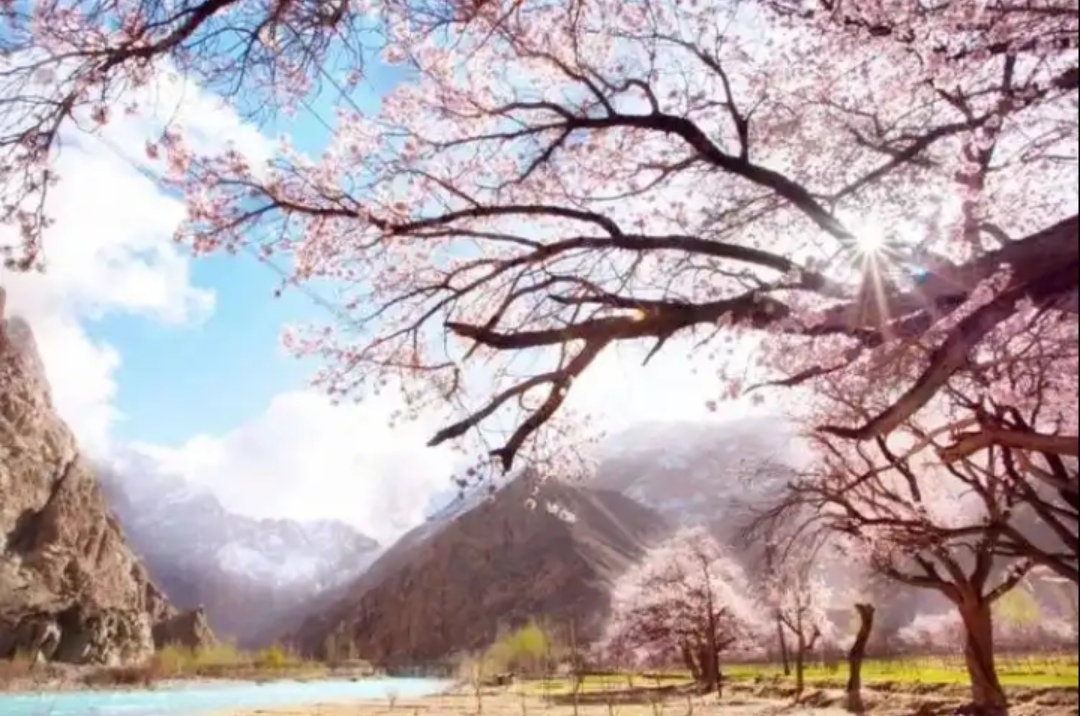 Screenshot_20260321_172656_com.baidu.searchbox_edit_1742019302114910.jpg