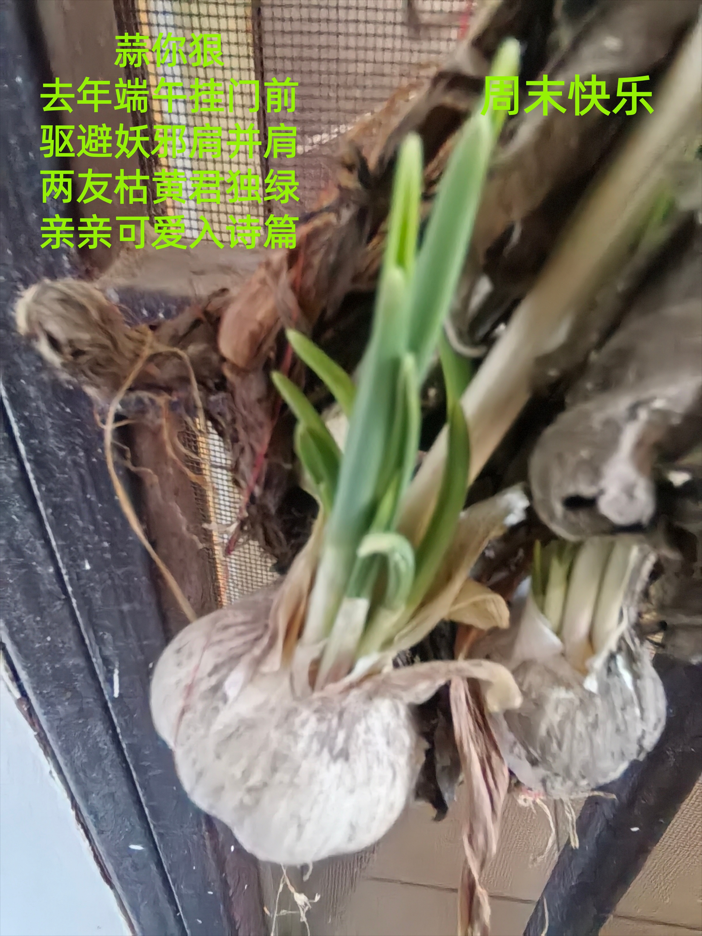 0bb2af50ccfc69430dee9edc789c113f_����.jpg